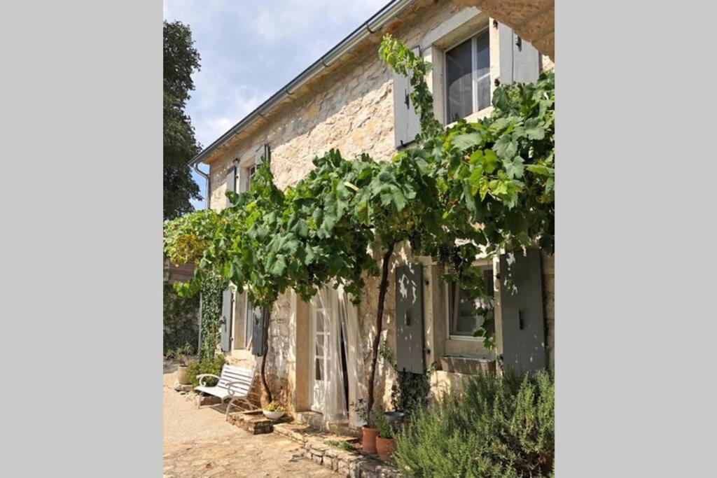 Ferienhaus Villa Alisia, Wunderschoenes Natursteinhaus Bei Porec, Istrien, Kroatien Vranje Selo المظهر الخارجي الصورة